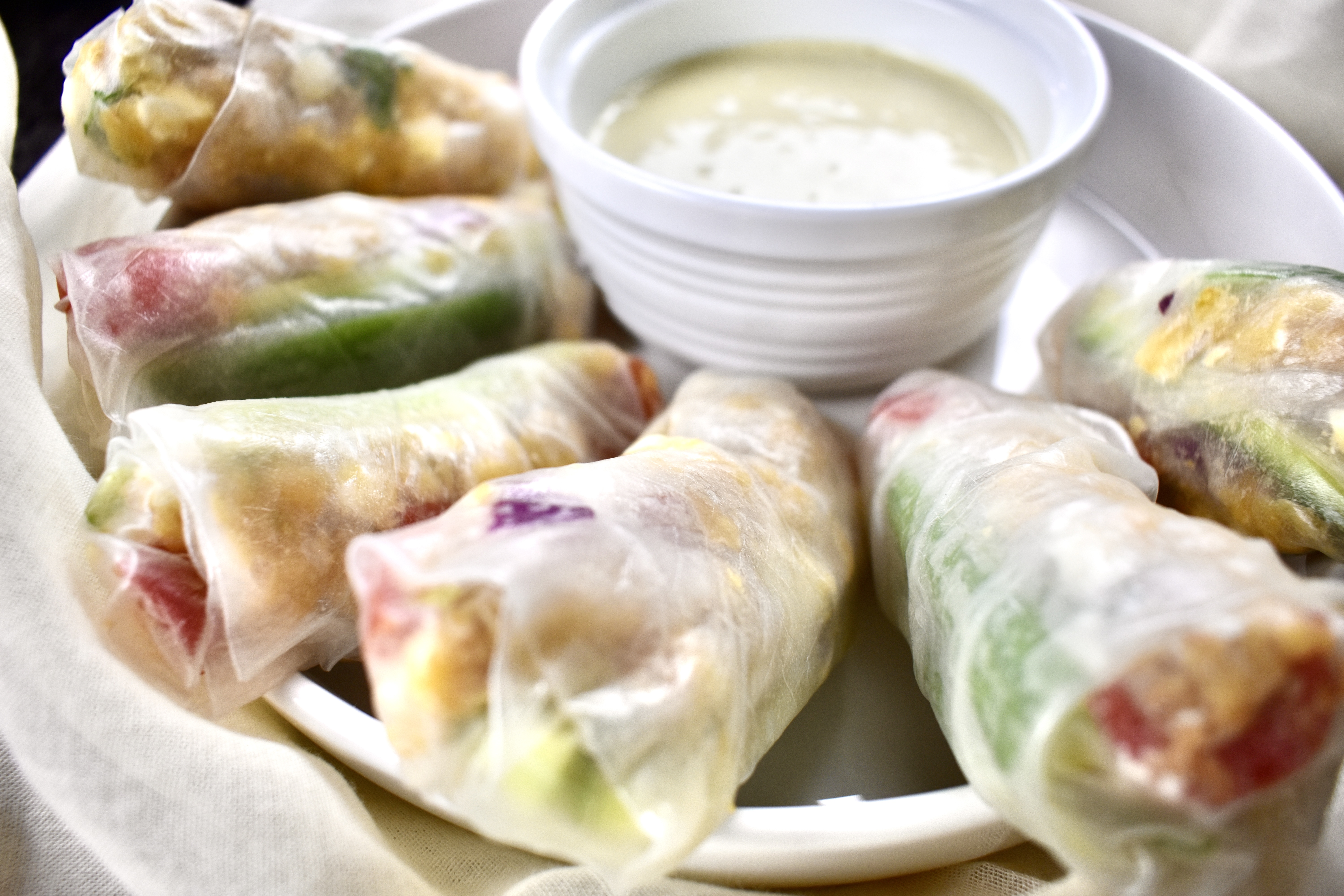 Greek Spring Rolls